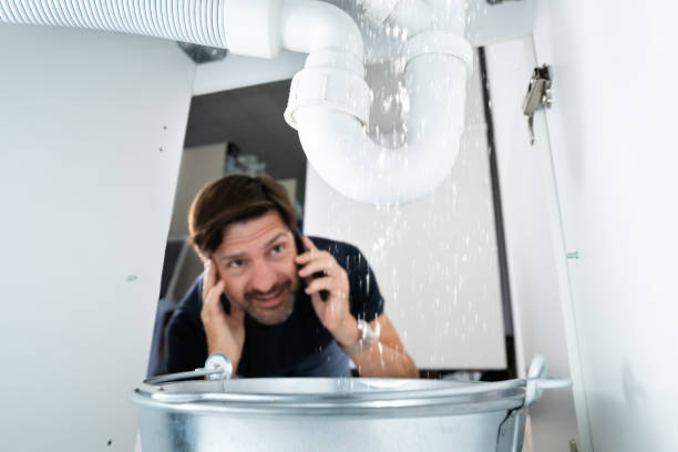 Best Sprinkler Systems  in East Hazel Crest, IL